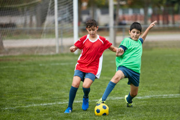 本文將為您 本文將為您